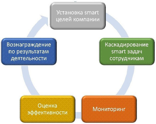 Цикл схема SMART задач